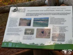 La vallée des Saint, un patrimoine rural authentique, vivant et coloré
